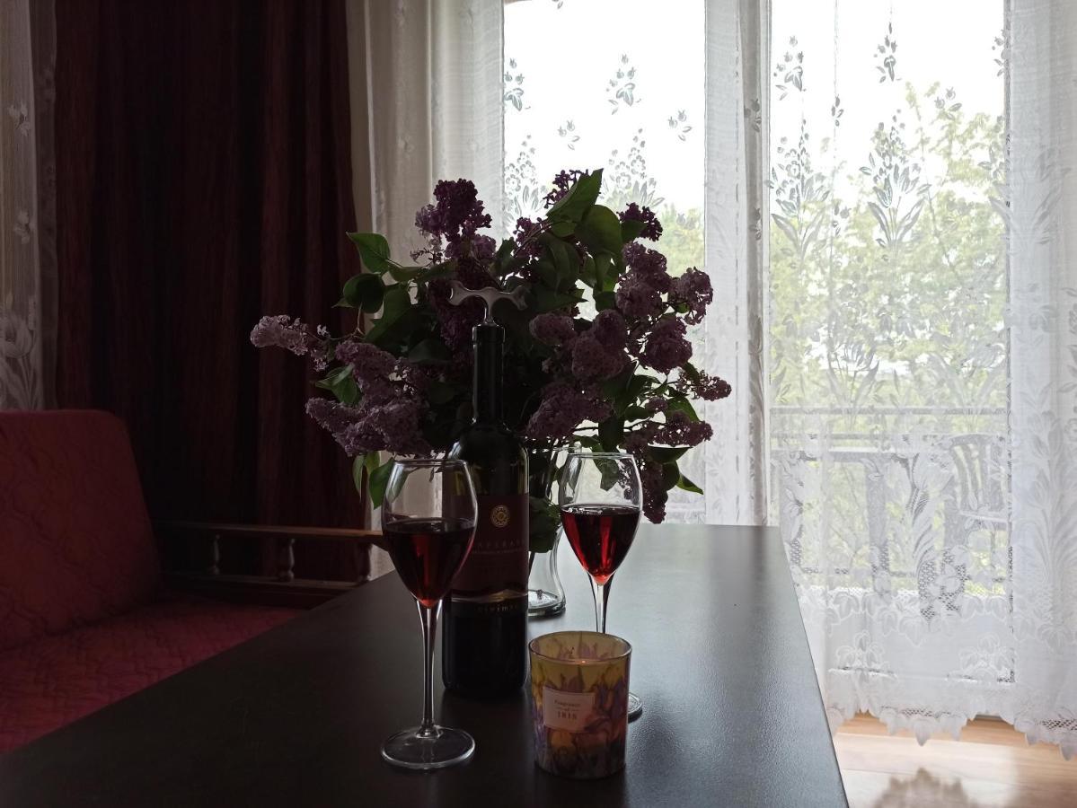 Apartament-Studio, Pokoje U Lucy Rabka Bagian luar foto