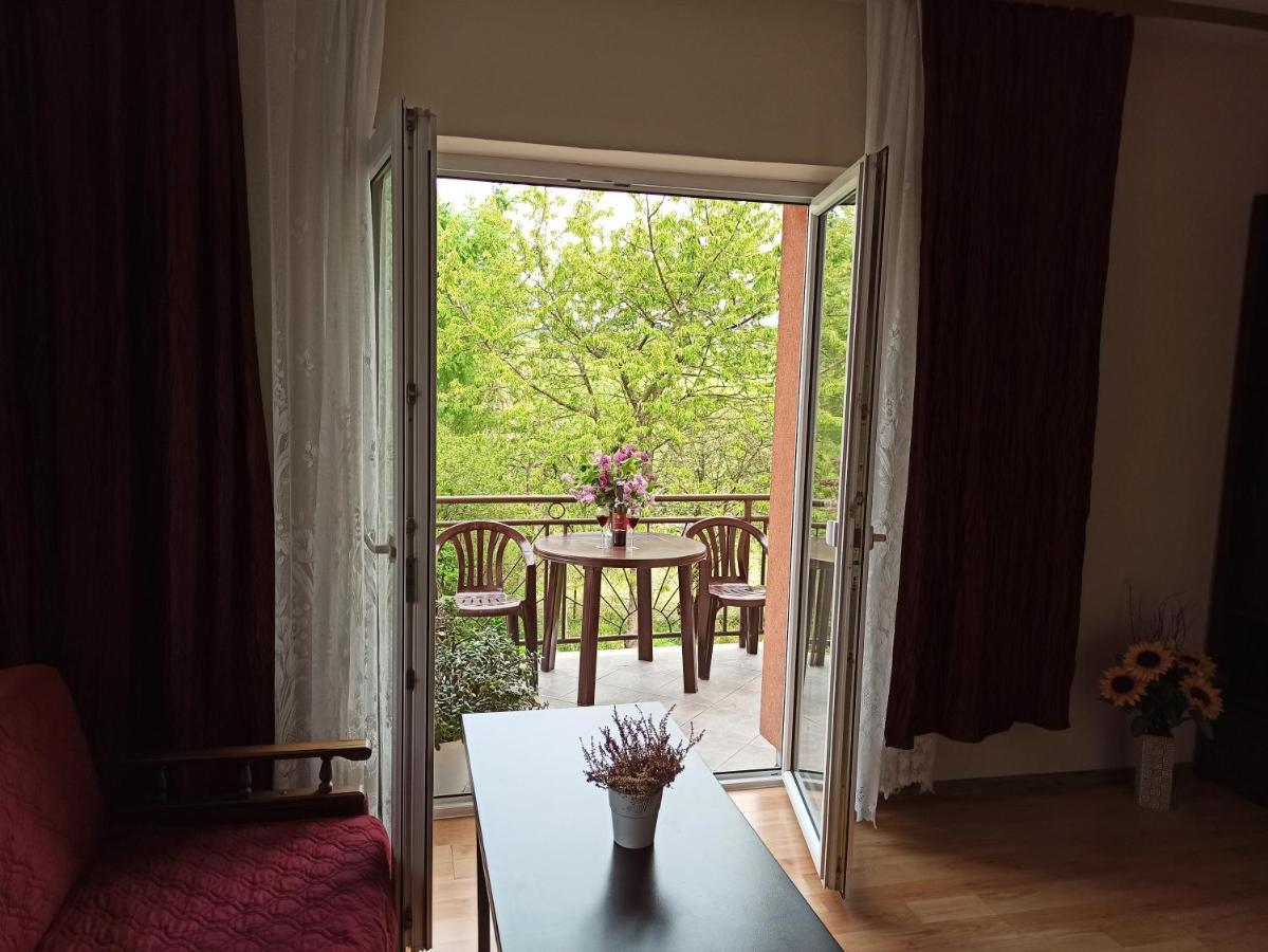 Apartament-Studio, Pokoje U Lucy Rabka Bagian luar foto