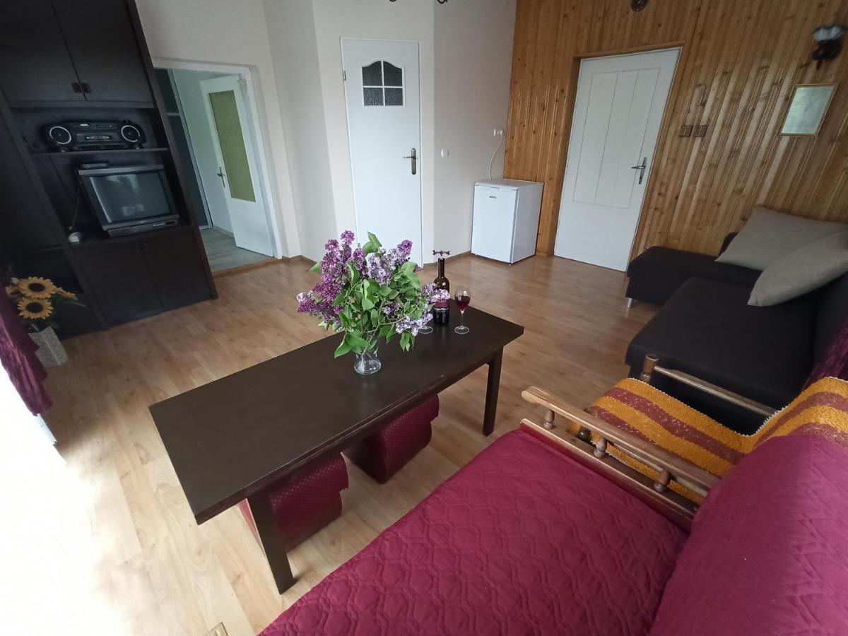 Apartament-Studio, Pokoje U Lucy Rabka Bagian luar foto